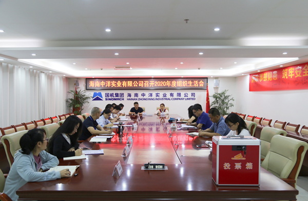 海南中洋2020年度组织生活会_副本.jpg